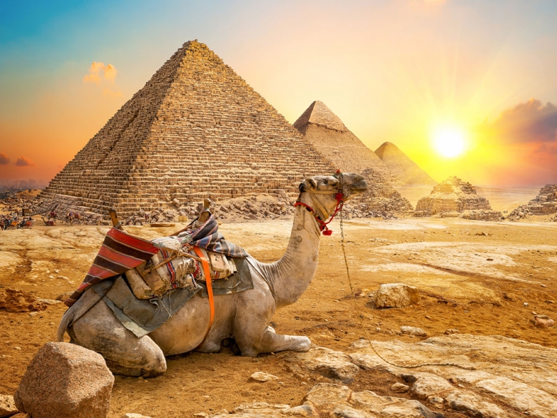 Trip to Egypt: Pyramids & Nile by Air Trip to Egypt: Pyramids & Nile by Air